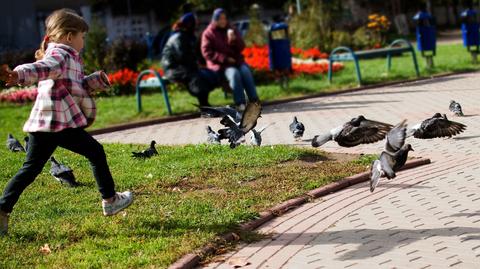 Ile kosztuje opieka nad dzieckiem?