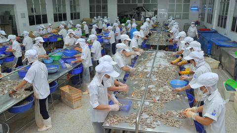 Przeniosą przetwórnię ryb z Chin do Polski