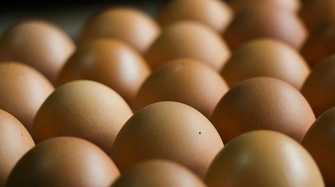 Skażone jajka z Polski w UE