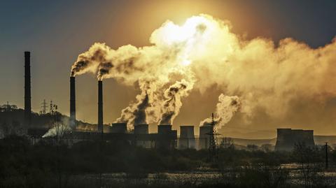 Holendrzy pozwali rząd. Bo nie chroni przed zmianami klimatu