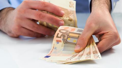 MF: członkostwo w strefie euro mogłoby być źródłem zagrożeń dla gospodarki