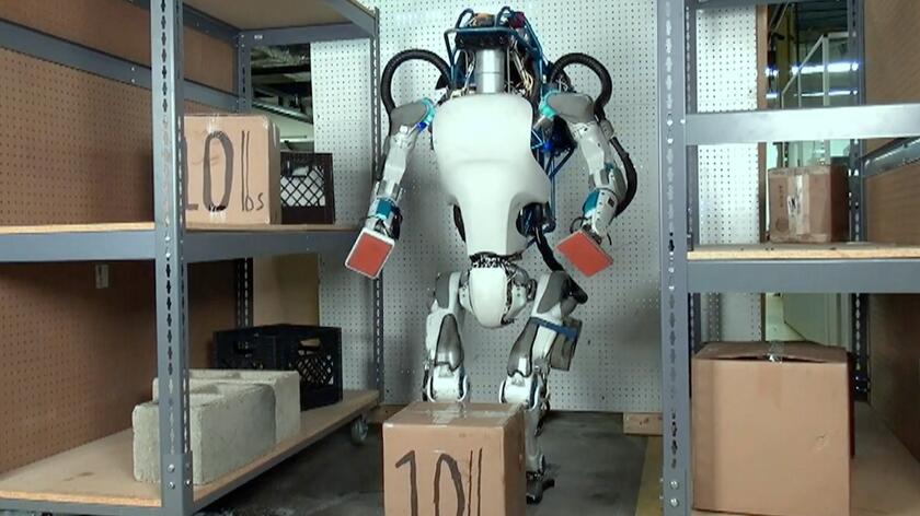 Przyszłość należy do robotów. „To pracownicy idealni” 