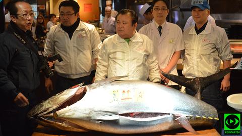 Tuńczyk błękitnopłetwy sprzedany na aukcji w Tokio