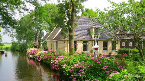 W krainie kwiatów i wiatraków, czyli holenderskie miasta-perły 