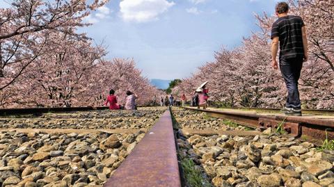 Pokaż nam świat. Jak zorganizować tanią podróż do Japonii?