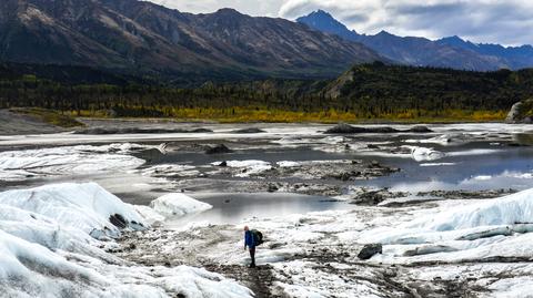 Dzika przyroda, lodowce i gorące źródła. Atrakcje Alaski i Jukonu w "Pokaż nam Świat"