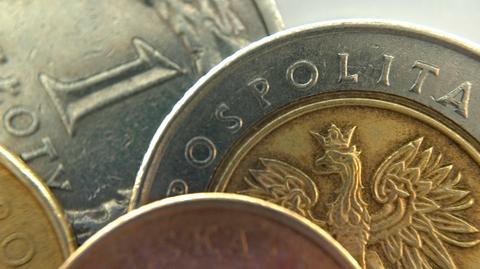 Jaka będzie przyszłość polskiej waluty?