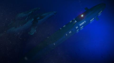 Prywatna łódź podwodna - Migaloo Submarines