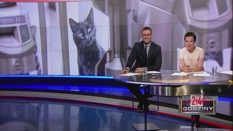 Kocia inwazja w metrze