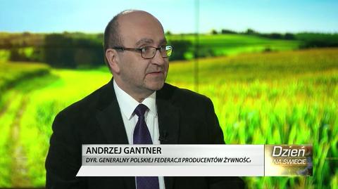 Kukurydza GMO w Unii jeszcze w tym roku? "Mało prawdopodobne" 