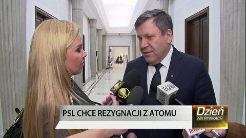 Piechociński: PSL to demokratyczna partia, więc może dyskutować o modelu energetycznym