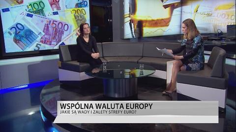 Polska wejdzie do strefy euro? "Debata Kobiet" w TVN24 BiS