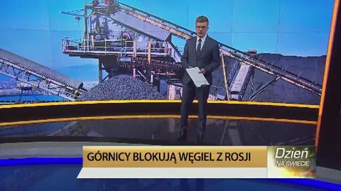 Polski węgiel w pigułce