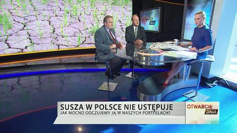 Susza w Polsce nie ustępuje. Co podrożeje?