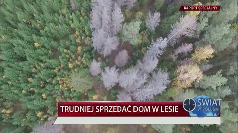 Świat w południe: Ustawa o obrocie lasami 