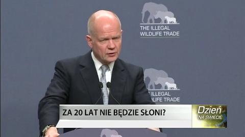 Zdaniem ekspertów, w niektórych państwach wybito prawie dwie trzecie populacji słoni zabijanych dla pozyskania kości słoniowej