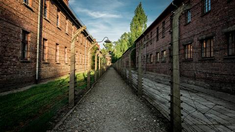 Auschwitz survivor Marian Turski delivers powerful address during liberation 75th anniversary