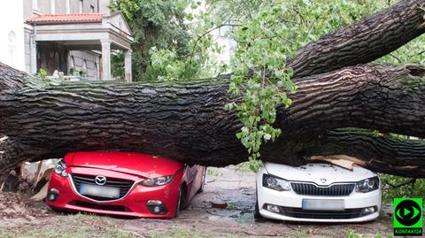 Zmiażdżone auta, drzewa powyrywane z korzeniami. Niszczycielski żywioł na Waszych zdjęciach