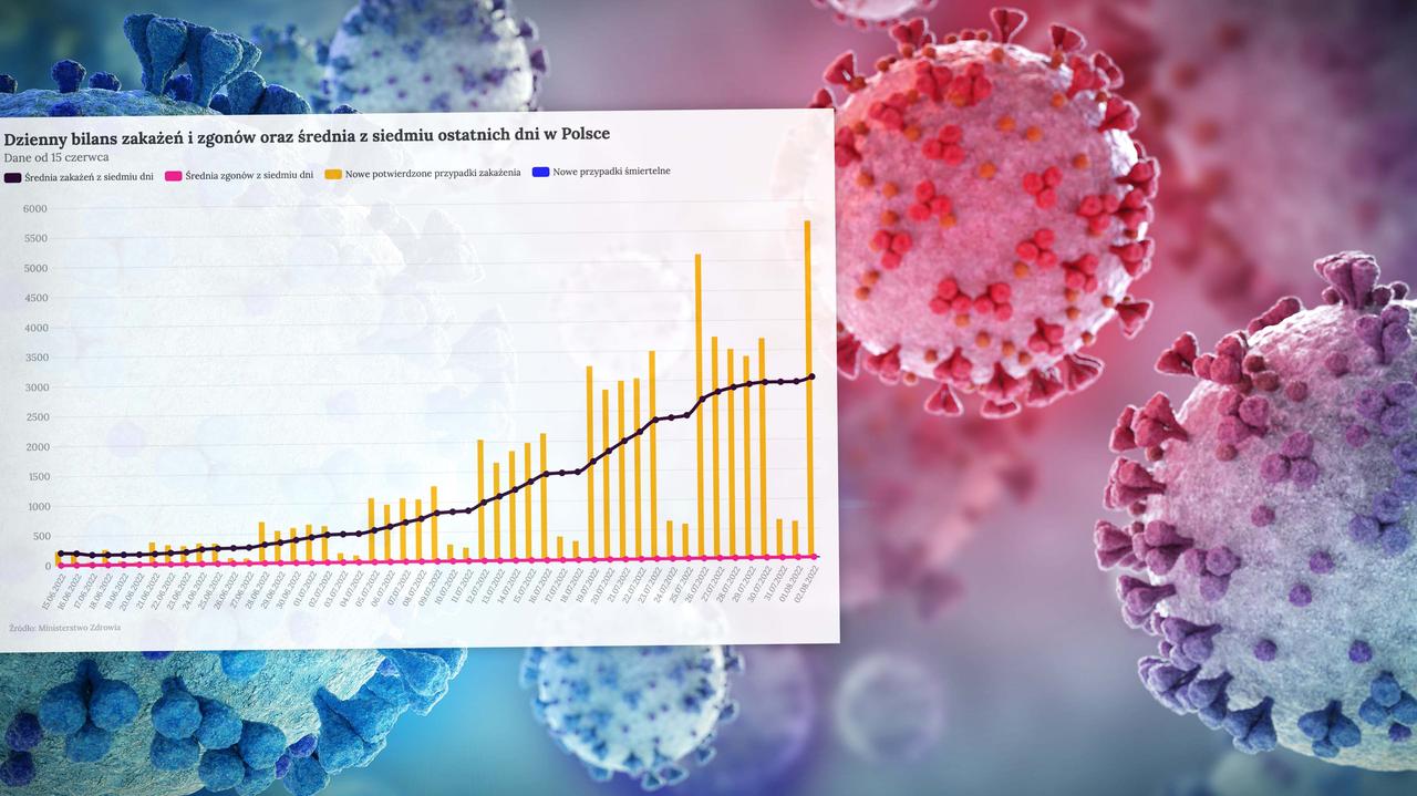 Corona virus en Polonia – mapa de infección, ¿cuántas vacunas?  ¿Cuántos casos nuevos se han detectado?  2 de agosto de 2022