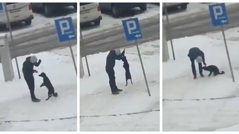 Elbląg. Policja szuka mężczyzny, który znęcał się nad psem (wideo z 08.02.2023)