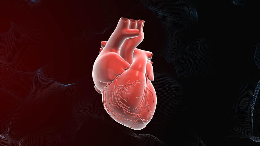 Testy pozwalające ocenić ryzyko zawału serca