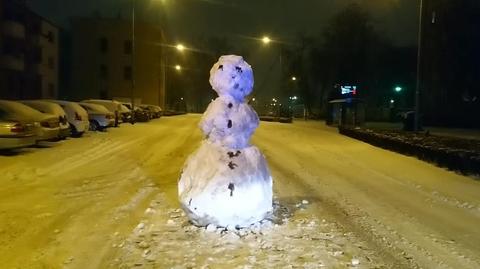 Leszno. Policjantów wezwano do bałwana na drodze