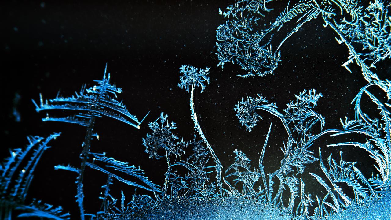 Alarmy przed mrozem. Miejscami będą ważne do wtorku