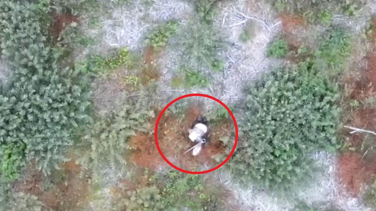 Kilkanaście godzin poszukiwań, 83-latkę znaleźli przy pomocy drona