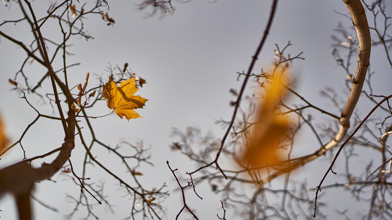 Pogoda na dziś - sobota, 8.11. W części kraju pogoda zacznie się psuć
