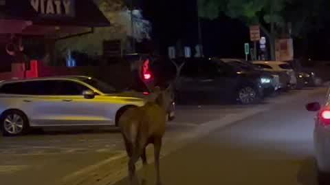wideo z kontaktu