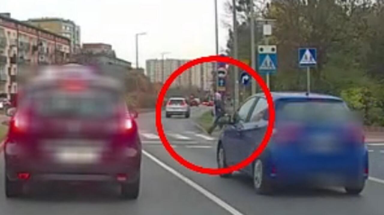 Piesza zatrzymała się w ostatniej chwili. Policja szuka kierowcy