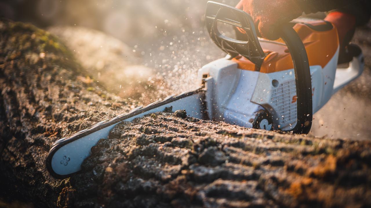 Wycięcie drzewa na działce. Rząd szykuje zmiany
