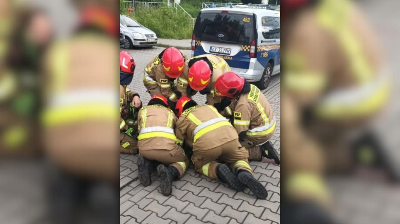 Półnagi mężczyzna w studzience kanalizacyjnej. Strażacy przecierali oczy