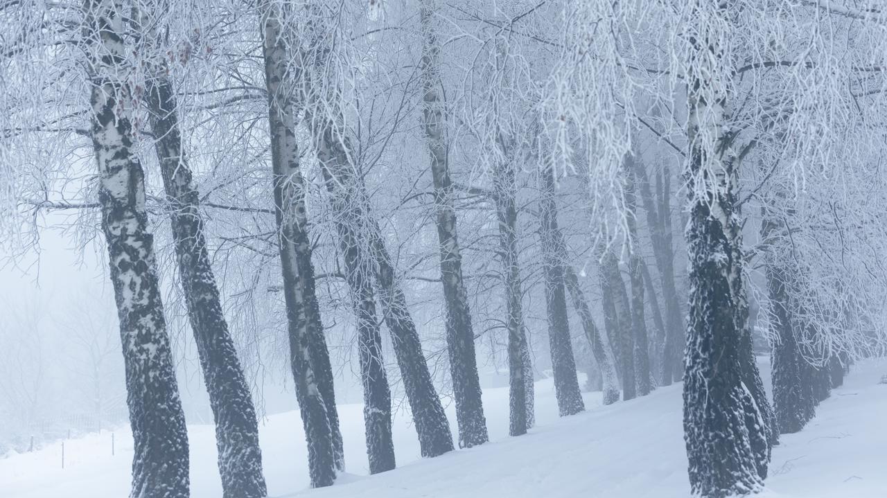 Pogoda na dziś - czwartek, 29.01. Może być choćby -10 stopni