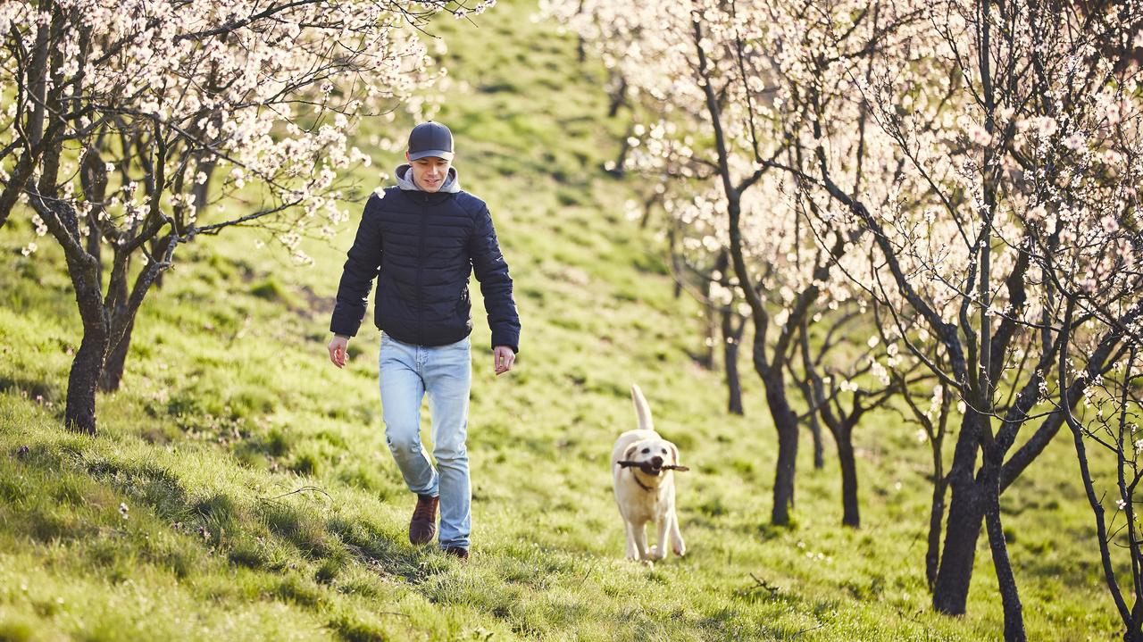 Pogoda na dziś - niedziela, 27.04. Tylko słońce. Lokalnie odczujemy chłód