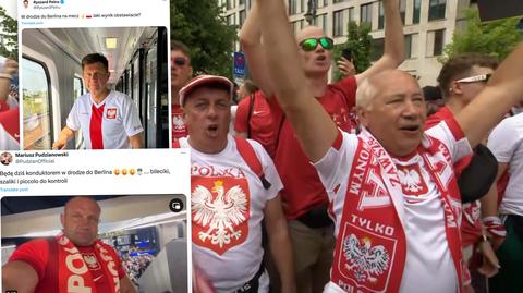 moleda sklej