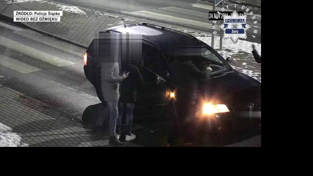 Policja Śląska
