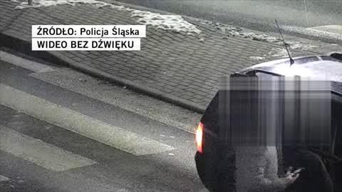 Policja Śląska