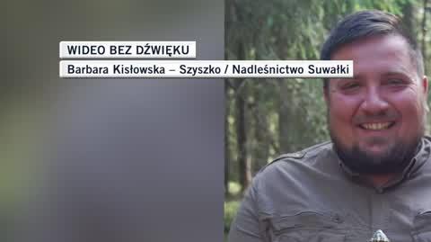 slideshow dla Filipa żółw