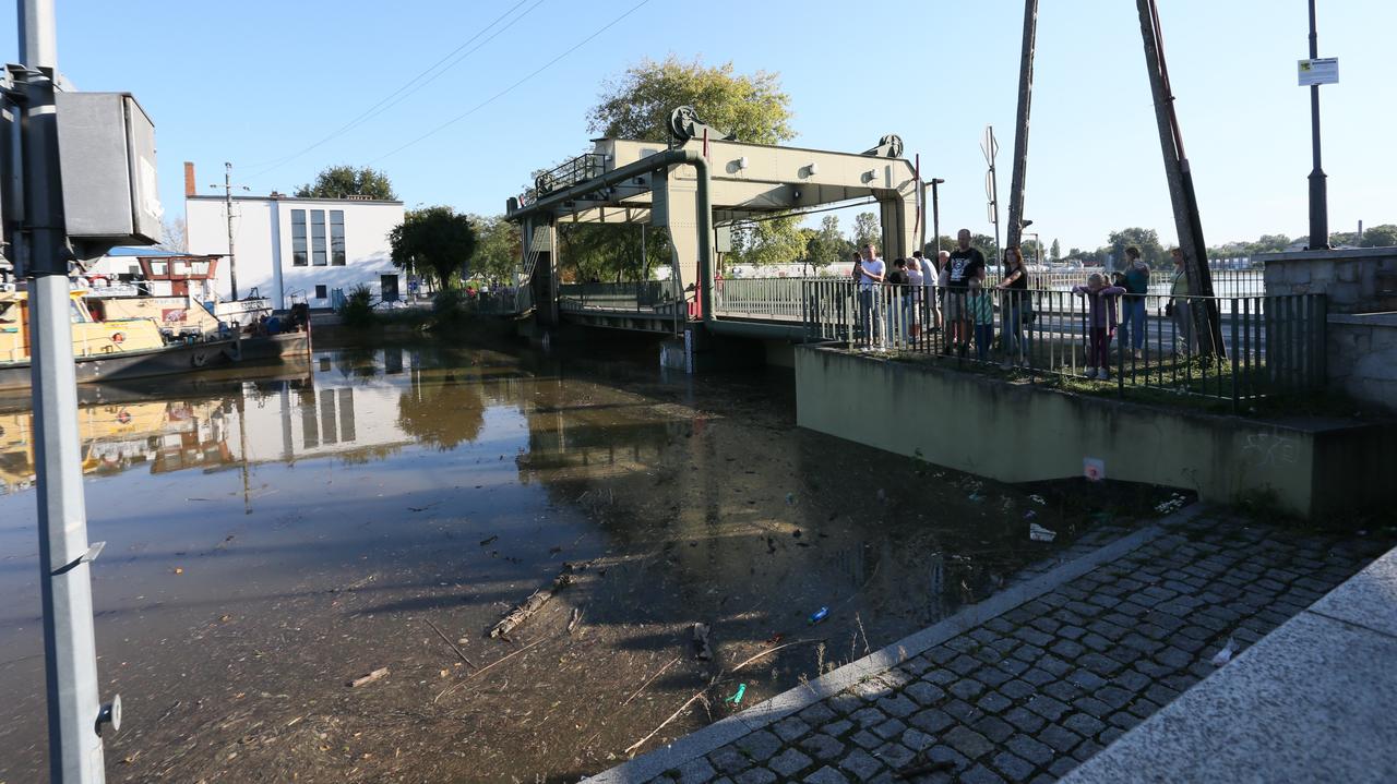 Flood in Poland 2024. Nowa Sól is preparing for the culminating wave. Wadim Tyszkiewicz: it’s not about just defending the city