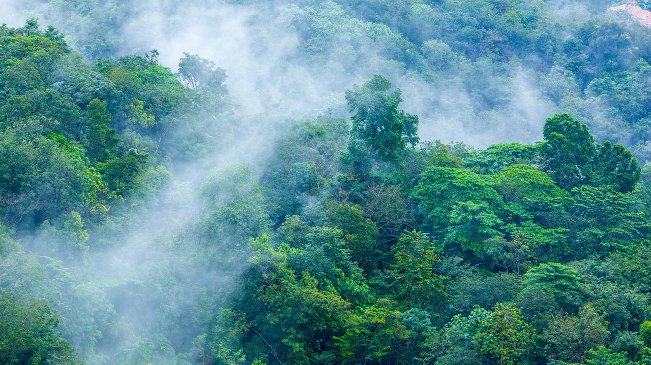 Te opady są warte dziesiątki miliardów dolarów