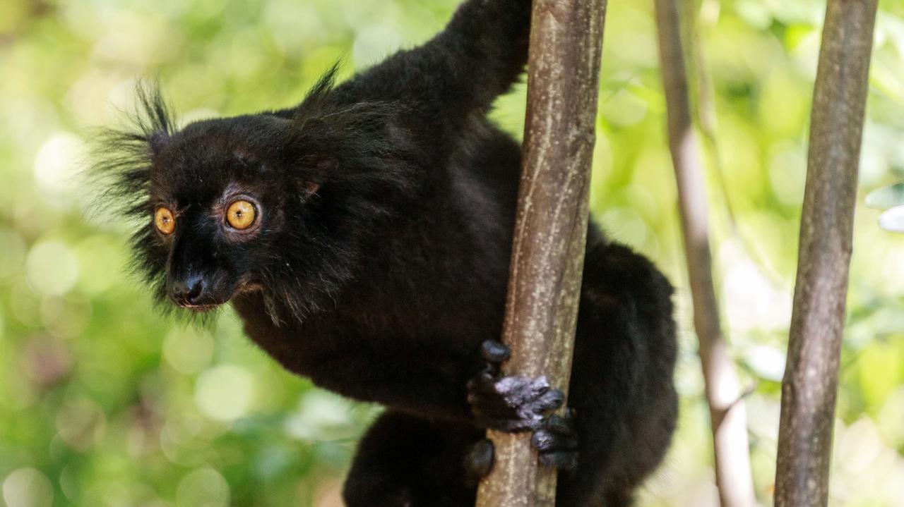 "Hormon miłości" łagodzi u nich agresję