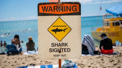 W 2022 roku w Nowej Południowej Walii doszło do 10 incydentów z udziałem rekinów