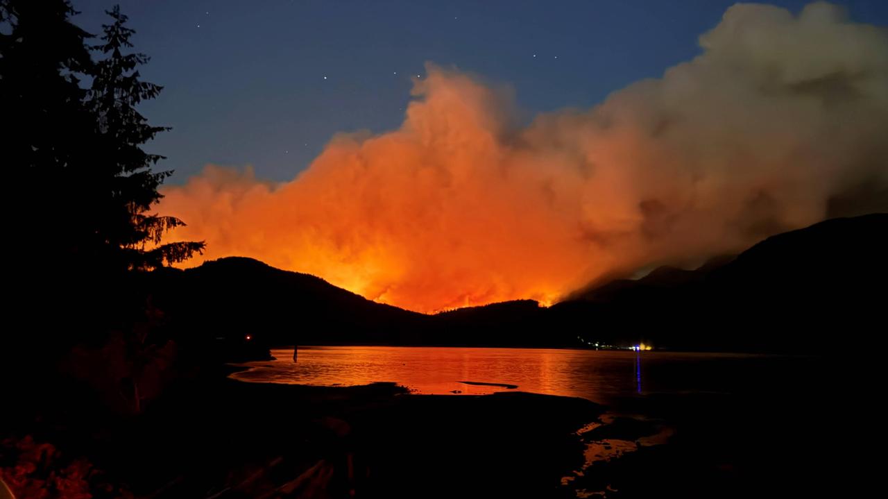 Uwalniają ogromne ilości dwutlenku węgla, tworzą "błędne koło"