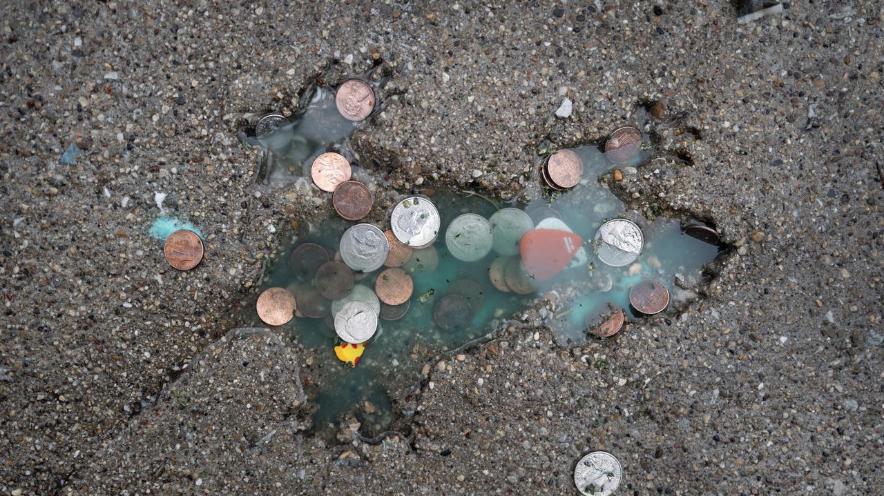 Wszyscy myśleli, iż to szczur. Prawda jest inna