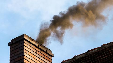 Minister klimatu: prezes PiS nie zachęcał do palenia takimi płytami