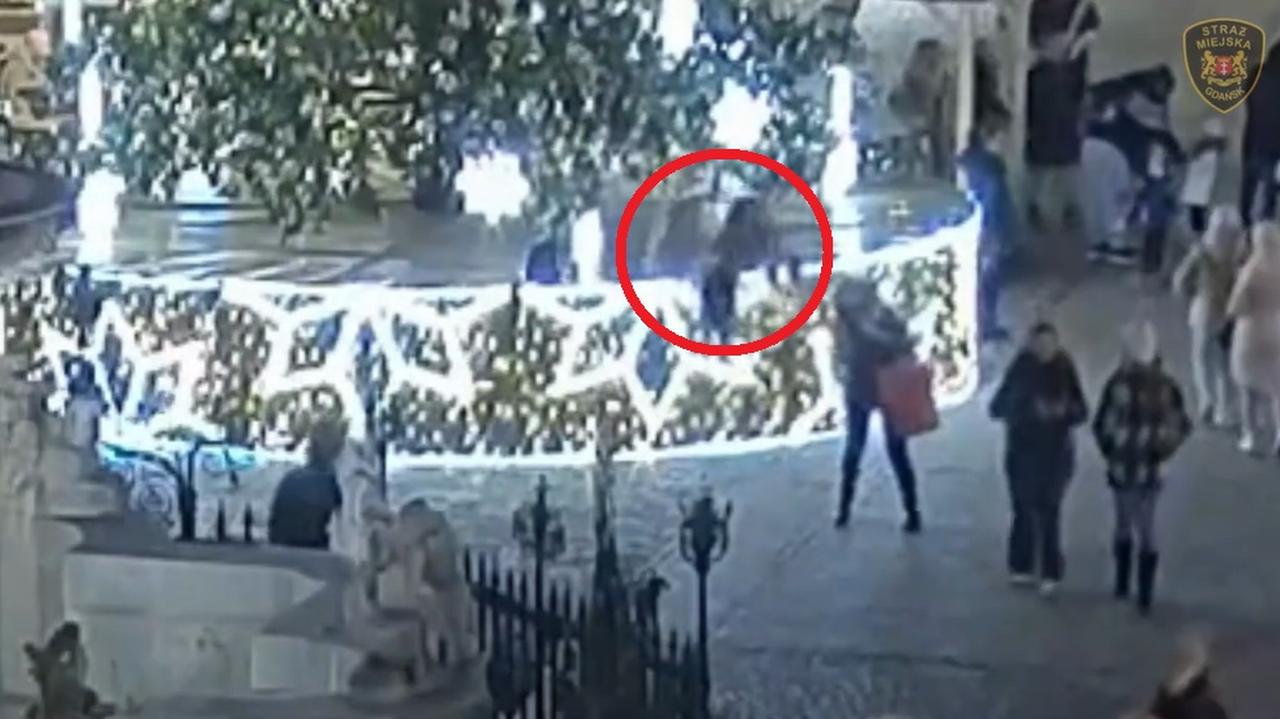 Mimo zakazu wskoczyły na podest choinki i wpadły do środka. Nagranie