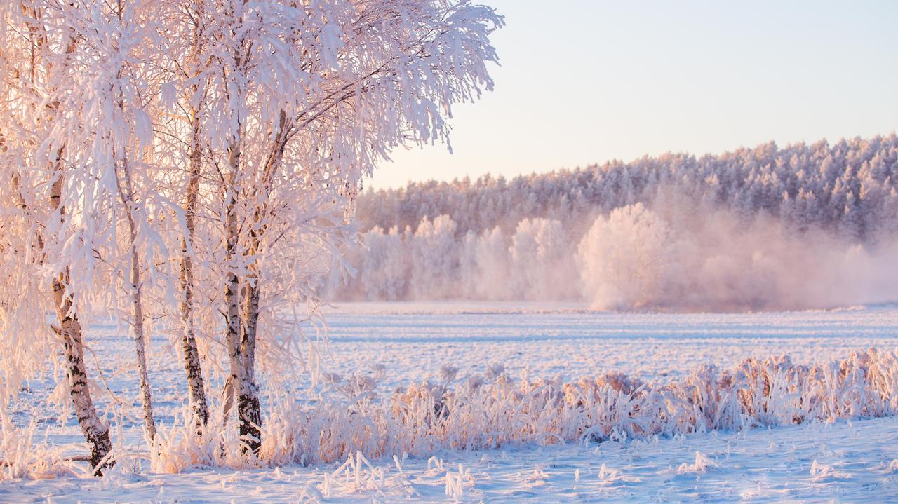 Prognoza długoterminowa IMGW. Jaka będzie pogoda zimą 2025/2026?