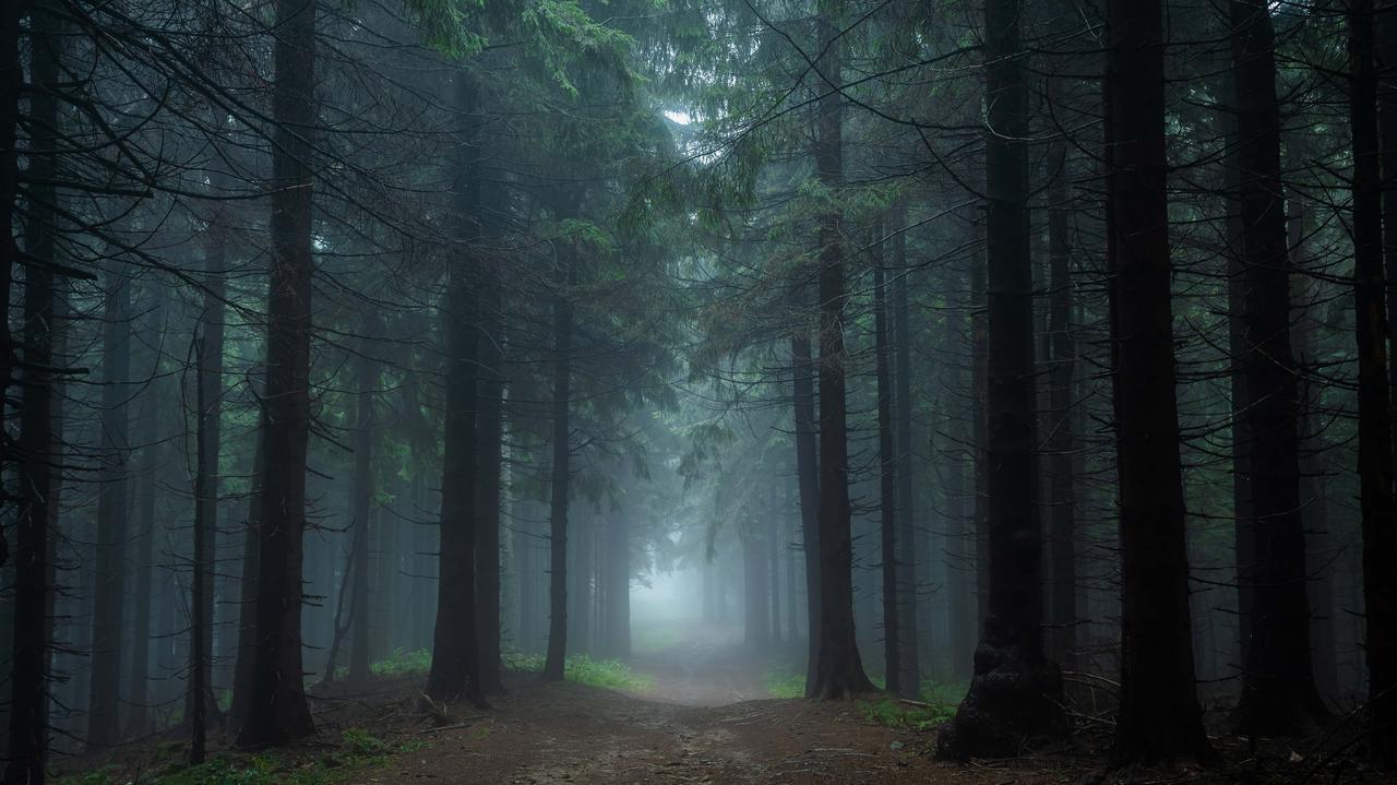 Nocne poszukiwania dwóch harcerzy