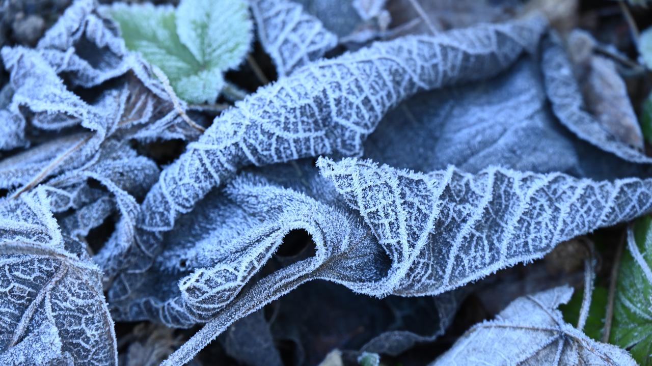 Pogoda na jutro - sobota, 4.10. Nocą lokalnie chwyci mróz